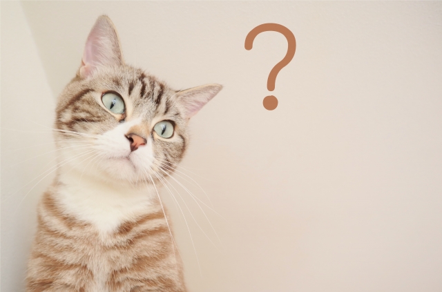 Twitterの拡散屋とは?